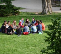 Photo Outdoor gathering
