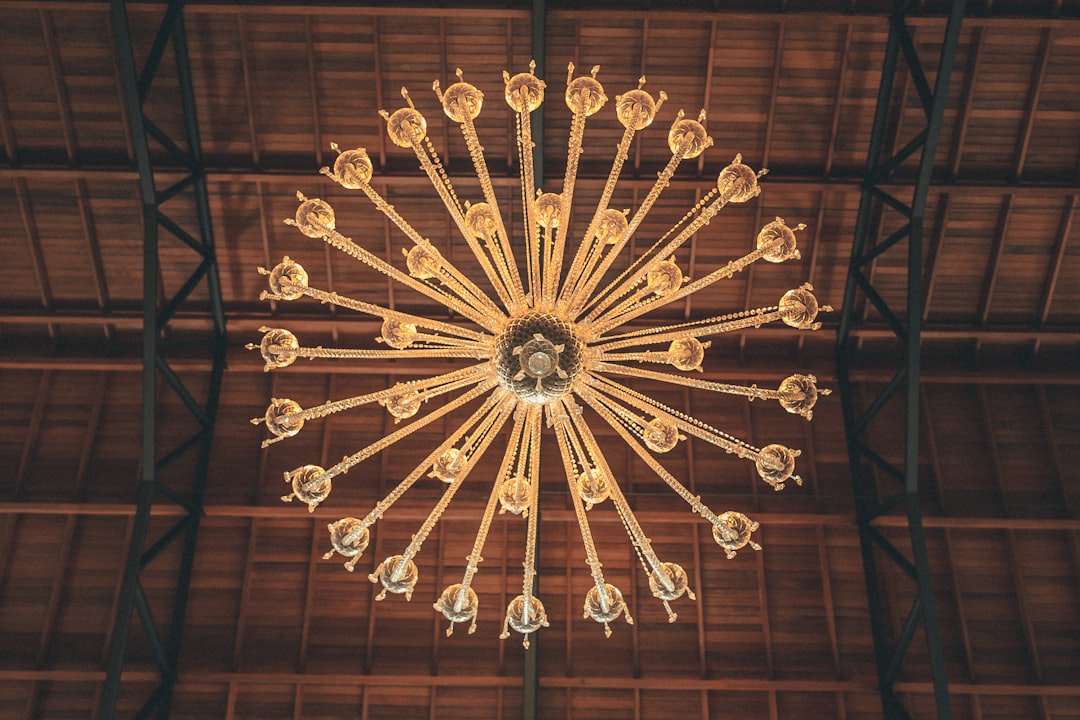 Photo Reincarnation Chandelier