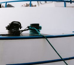 Photo waterproof outdoor bulkhead light