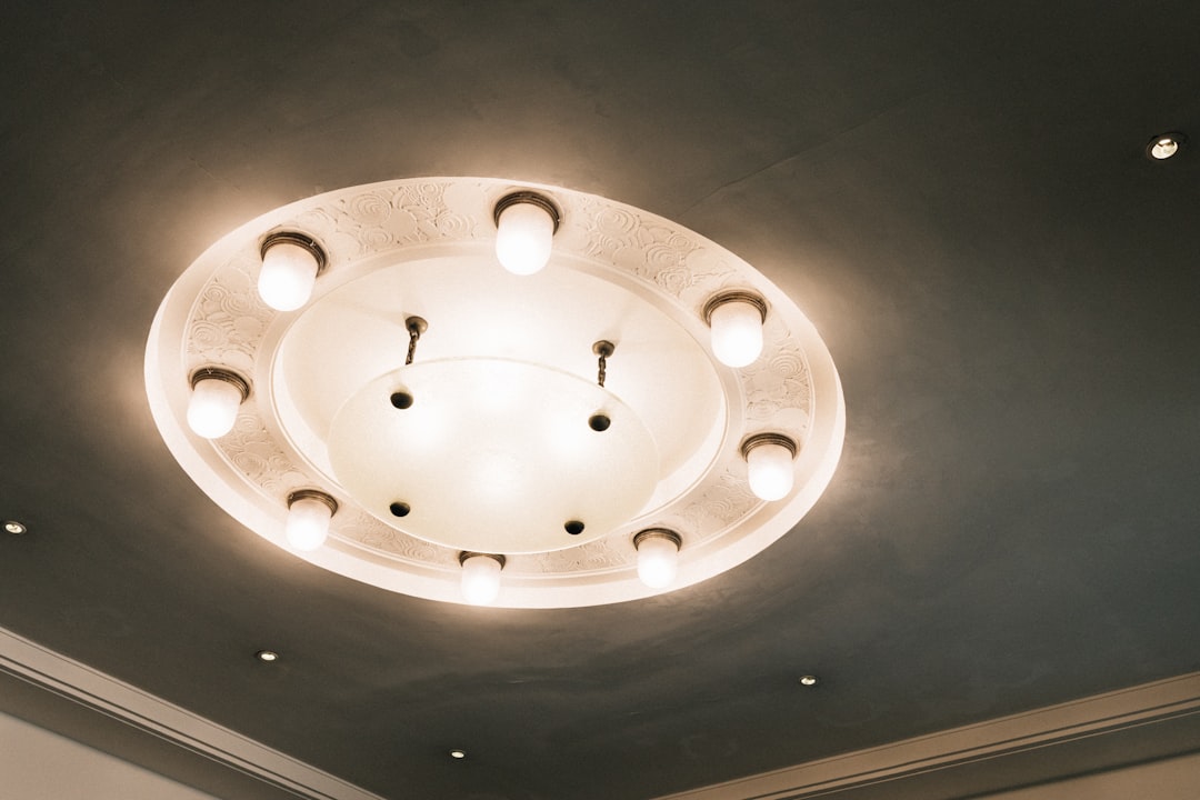 Photo ceiling light